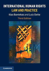 International Human Rights Law and Practice 