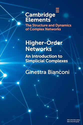 Higher-Order Networks