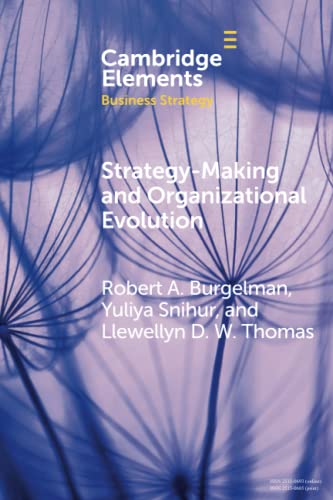 Strategy-Making and Organizational Evolution