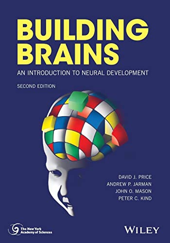 Building Brains