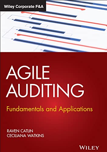 Agile Auditing