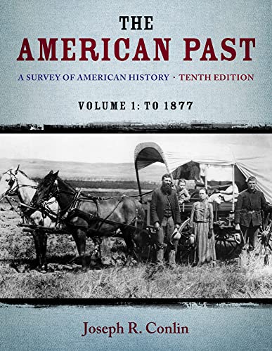 The American Past