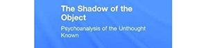 The Shadow of the Object 