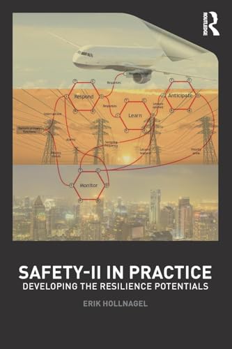 Safety-II in Practice