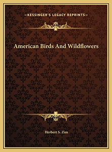 American Birds And Wildflowers 