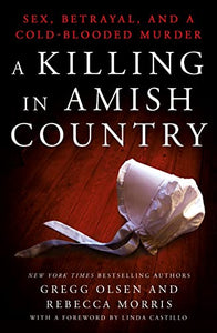 A Killing in Amish Country 