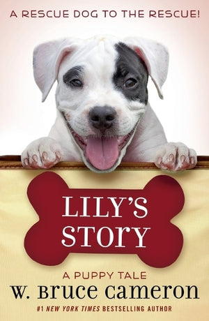 Lily's Story
