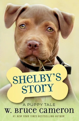 Shelby's Story
