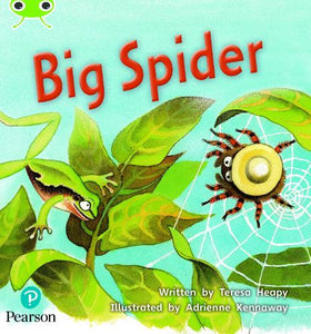 Bug Club Phonics - Phase 5 Unit 27: Big Spider 