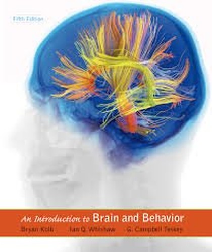 INTRODUCTION TO BRAIN AND BEHAVIOR THED KOLB IE