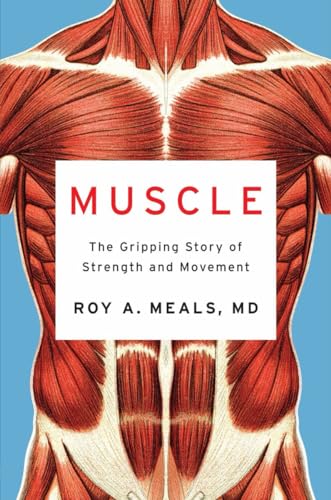 Muscle
