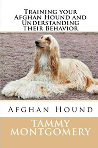 Training Your Afghan Hound and Understanding Their Behavior