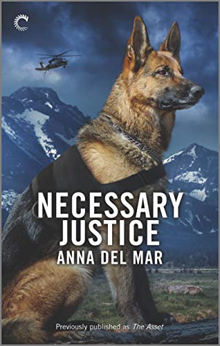 Necessary Justice