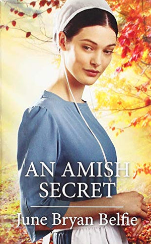An Amish Secret