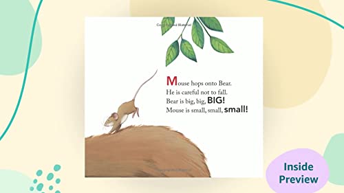 Big Bear, Small Mouse