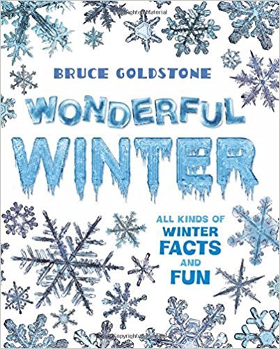 Wonderful Winter