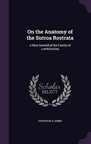 On the Anatomy of the Sutroa Rostrata