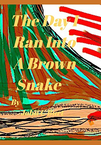 The Day I Ran Into A Brown Snake.