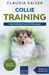 Collie Training - Dog Training for your Collie puppy 