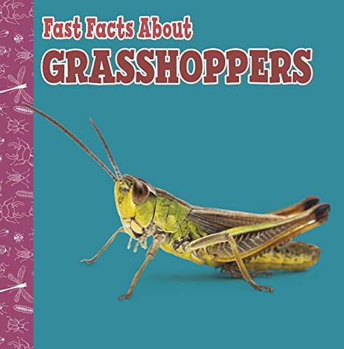 Fast Facts About Grasshoppers