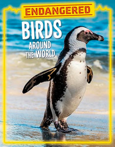 Endangered Birds Around the World 