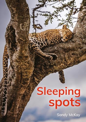 Sleeping spots