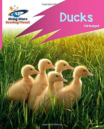 Reading Planet: Rocket Phonics  Target Practice  Ducks  Pink B
