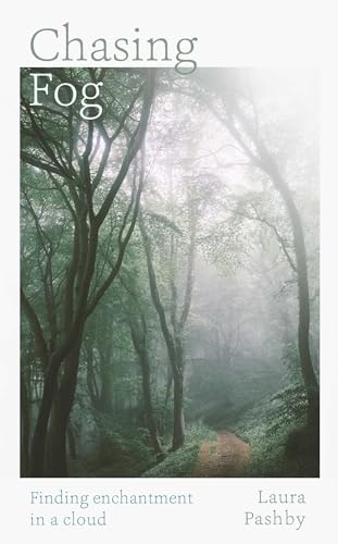Chasing Fog