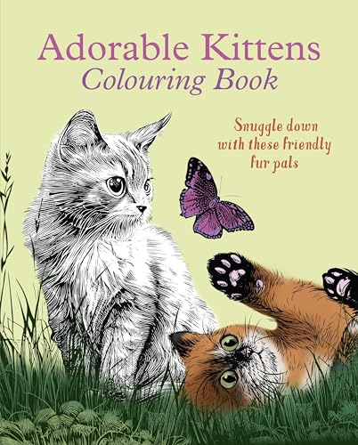 Adorable Kittens Colouring Book