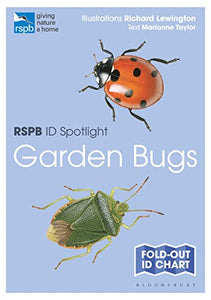 RSPB ID Spotlight - Garden Bugs 