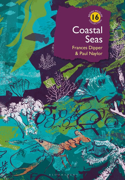 Coastal Seas