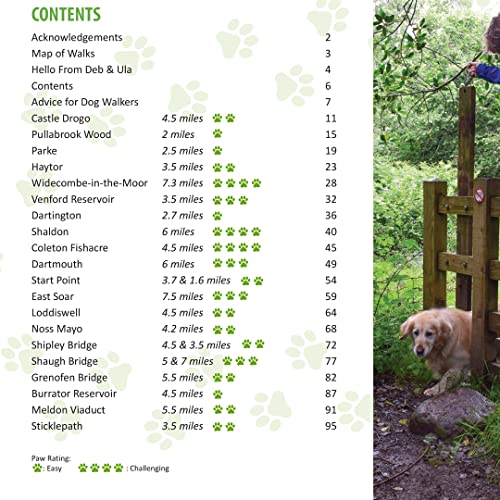 Dog Walks South Devon & Dartmoor