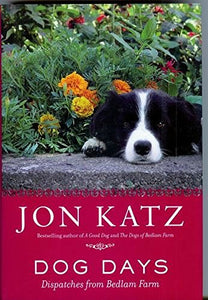 Dog Days:Dispatches From Bedlam Farm 