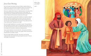 God's Big Picture Bible Storybook