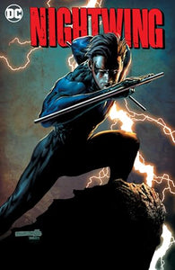 Nightwing by Peter Tomasi 