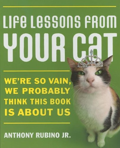 Life Lessons From Your Cat