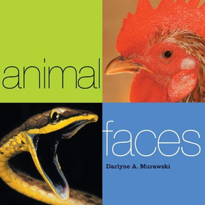 Animal Faces 