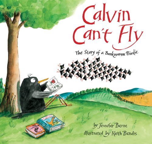 Calvin Can't Fly
