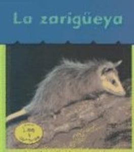 La Zarigueya 