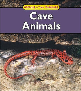 Cave Animals 