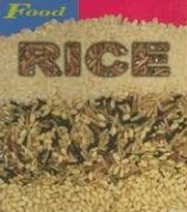 Rice 