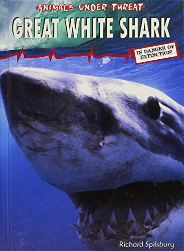 Great White Shark