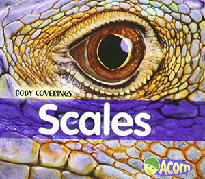 Scales 