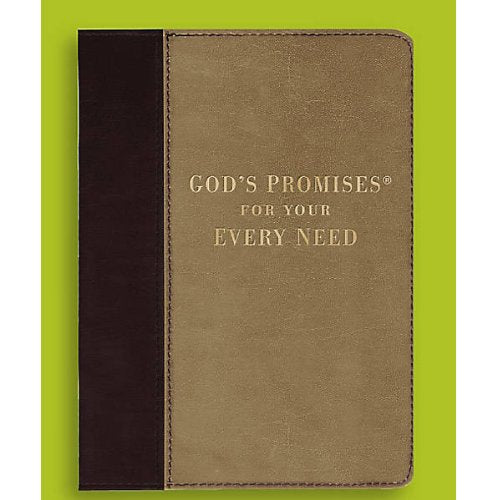 Gods Promises For Your Every Need