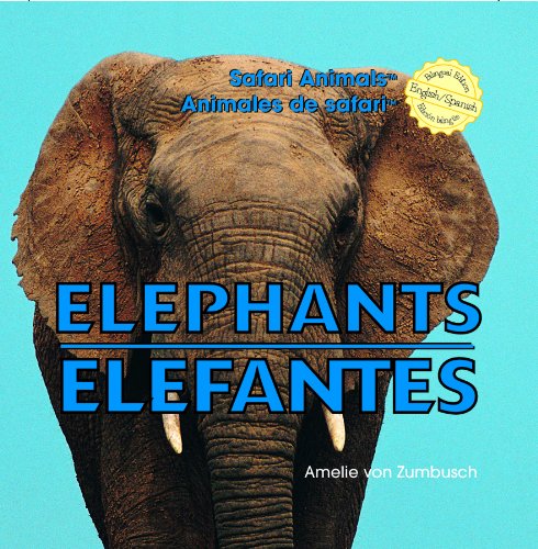 Elephants / Elefantes