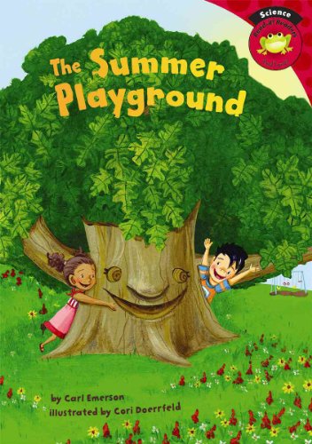 The Summer Playground