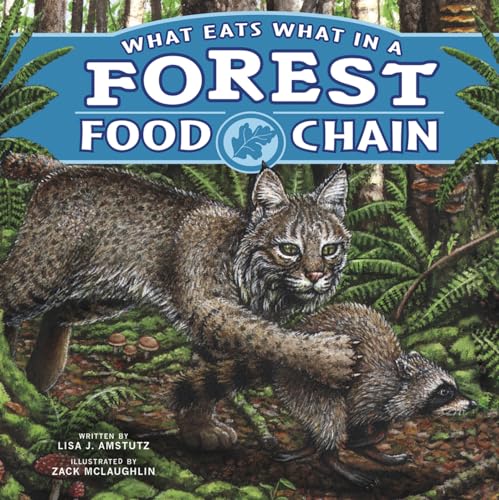 Food Chains What Eats What in a Forest Food Chain