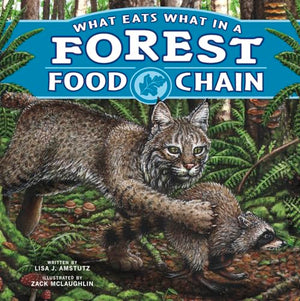Food Chains What Eats What in a Forest Food Chain