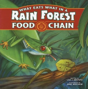 Food Chains What Eats What in a Rain Forest Food Chain