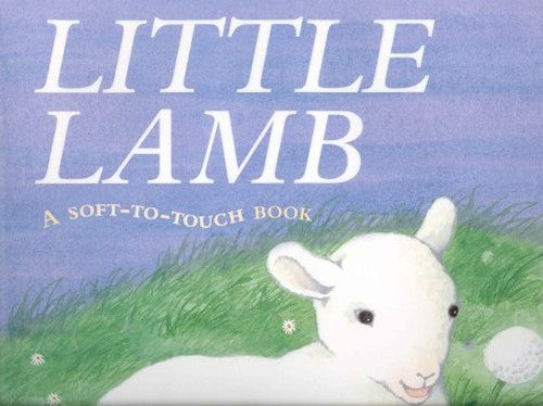Little Lamb (HB)